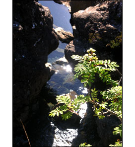 Faerie Pools Skye