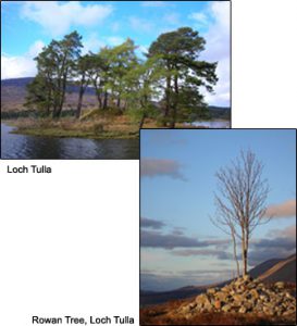 "Loch Tulla and Rowan Tree
