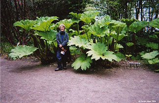 Margie at Inverewe Gardens in Scotland