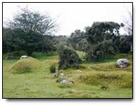 Wales Landscape