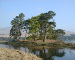 Loch Tulla at Rannoch Moor, Scotland