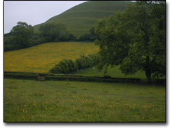  The Tor, Glastonbury, England